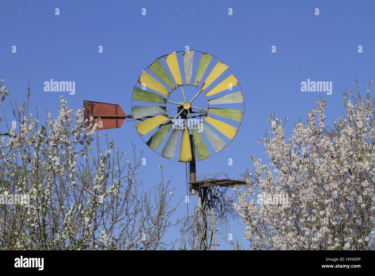 The fans of an old metal wind driven water pump between a flowering hedge against a blue sky. Stock Photo