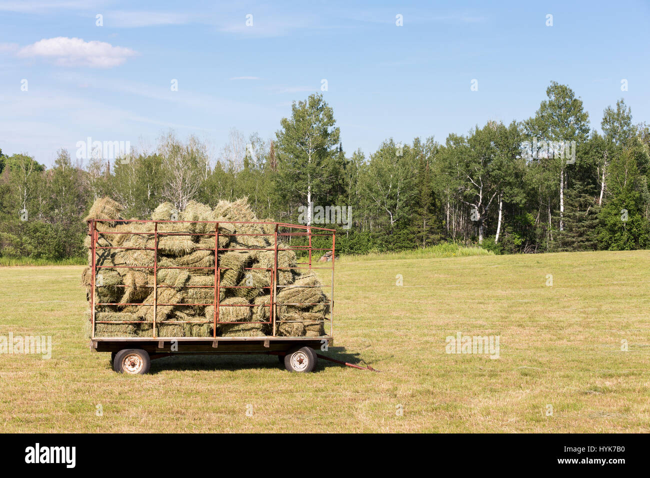 Old hay wagon full of freshly cut hay in a farm field. Copy space in sky if needed Stock Photo