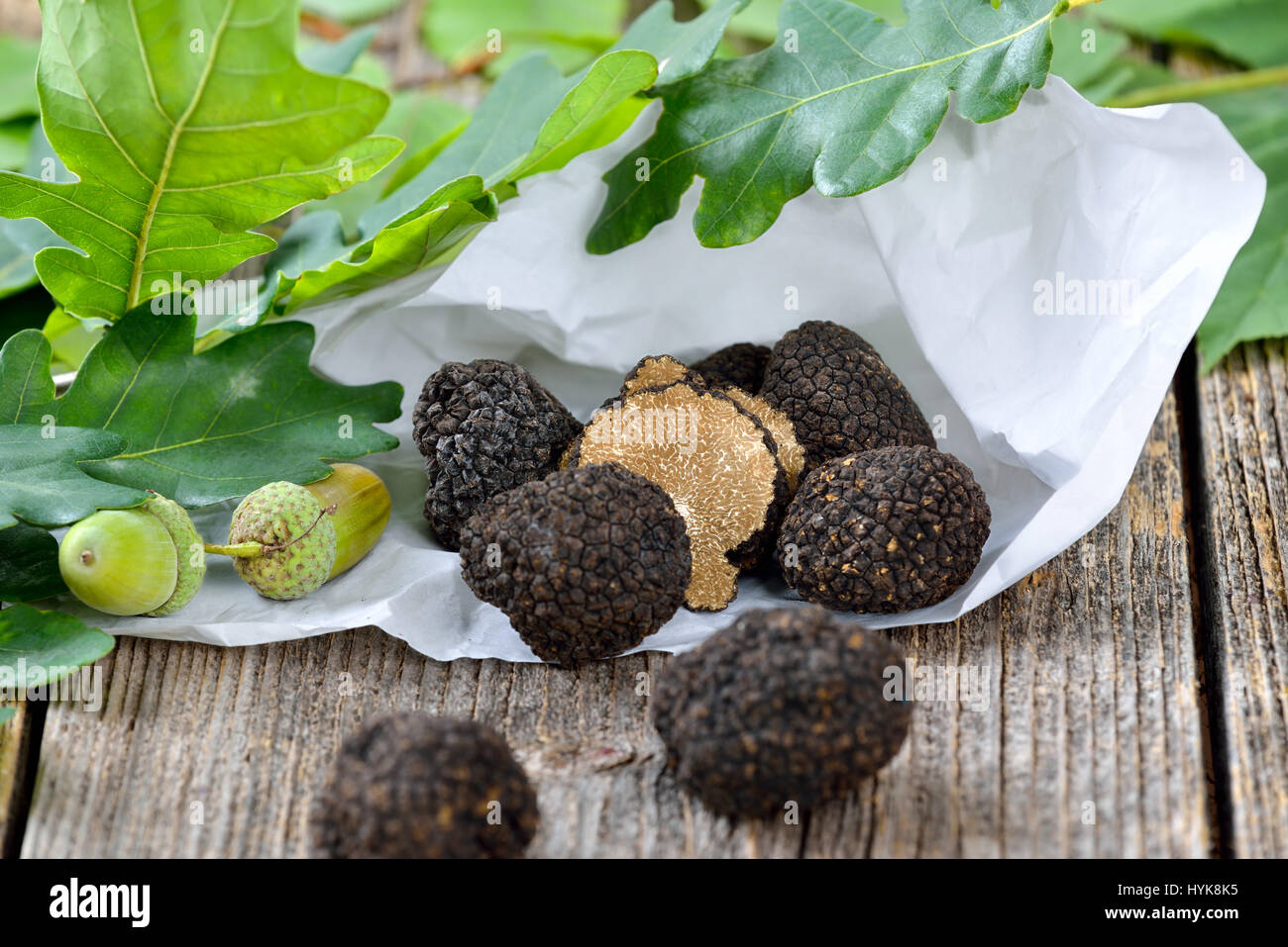 Fresh black truffles on wrapping paper and oak leaves Stock Photo