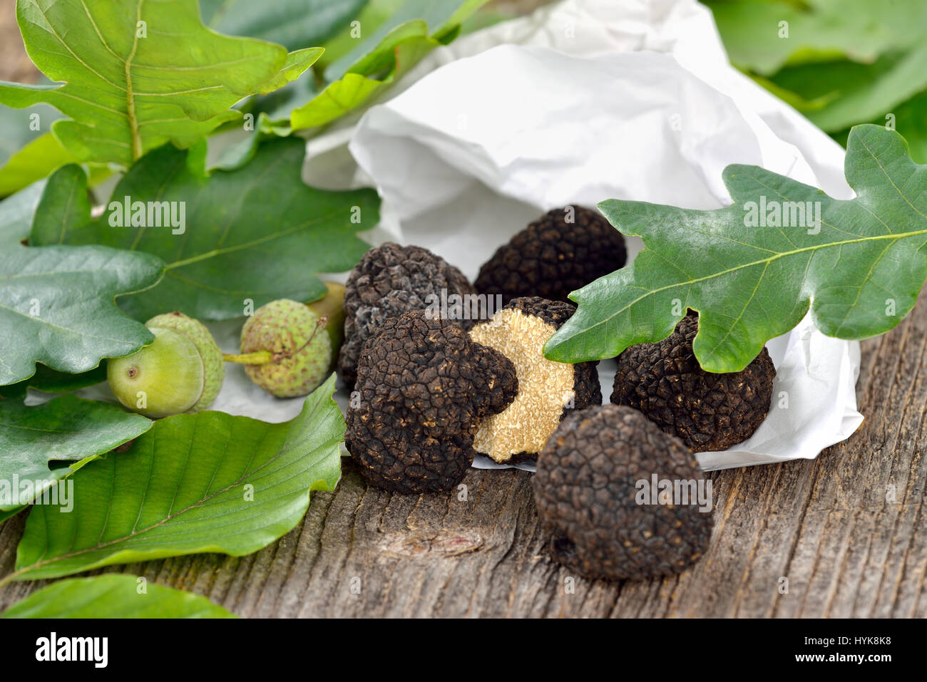 Fresh black truffles on wrapping paper and oak leaves Stock Photo