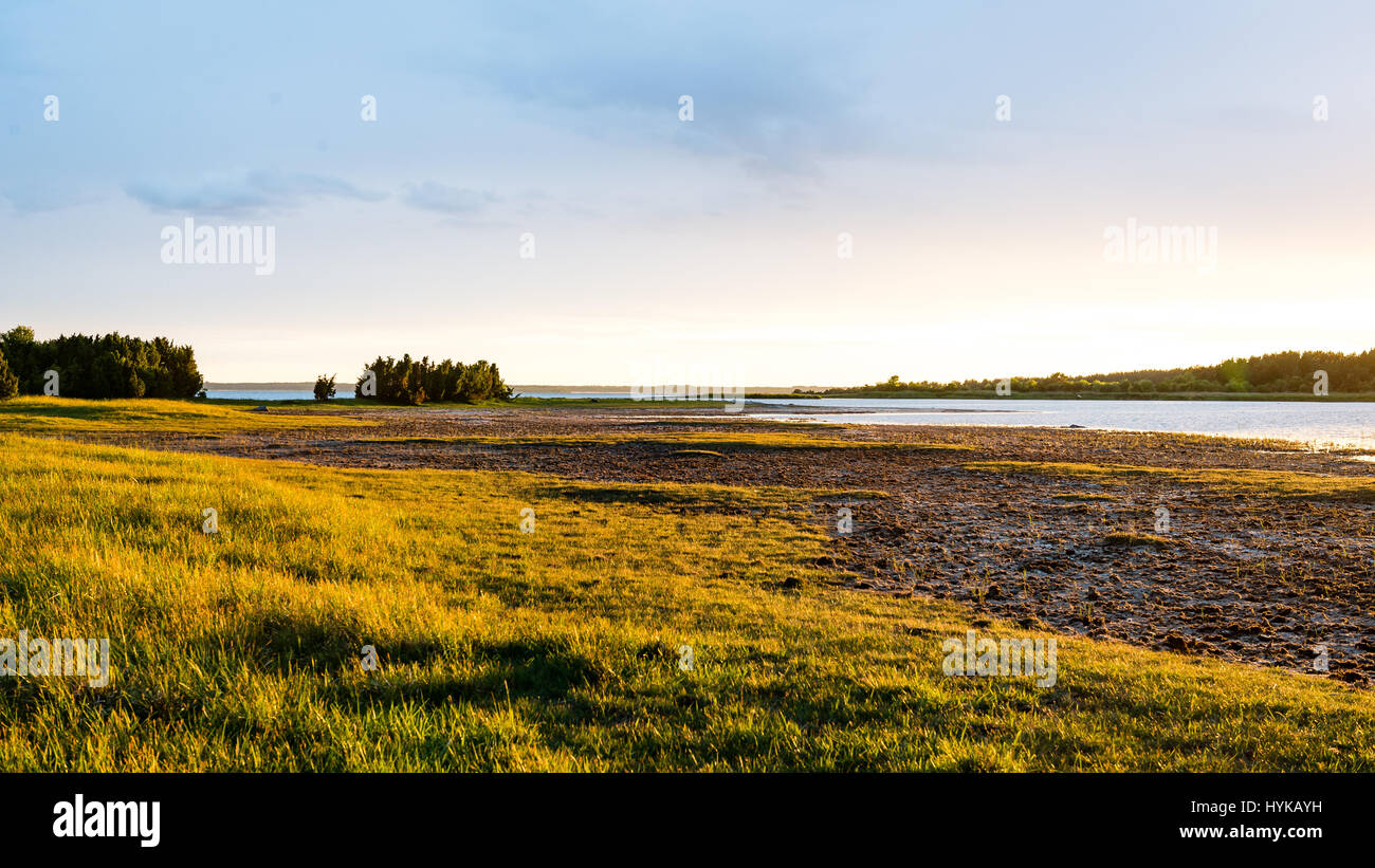 sunny meadow with flowers and green grass in summer at countryside ...