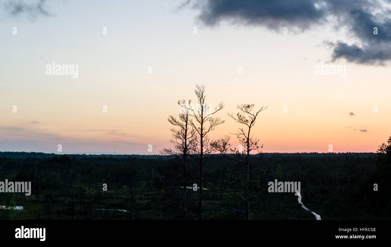 sunset over the forest in fog in summer Stock Photo - Alamy