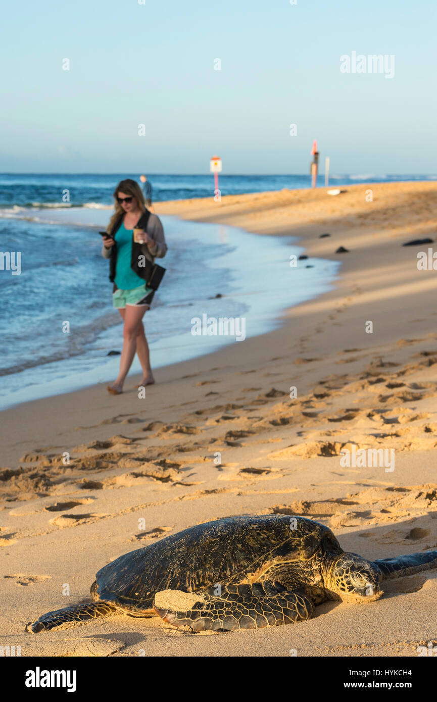 speak suck own passed out beach nudes