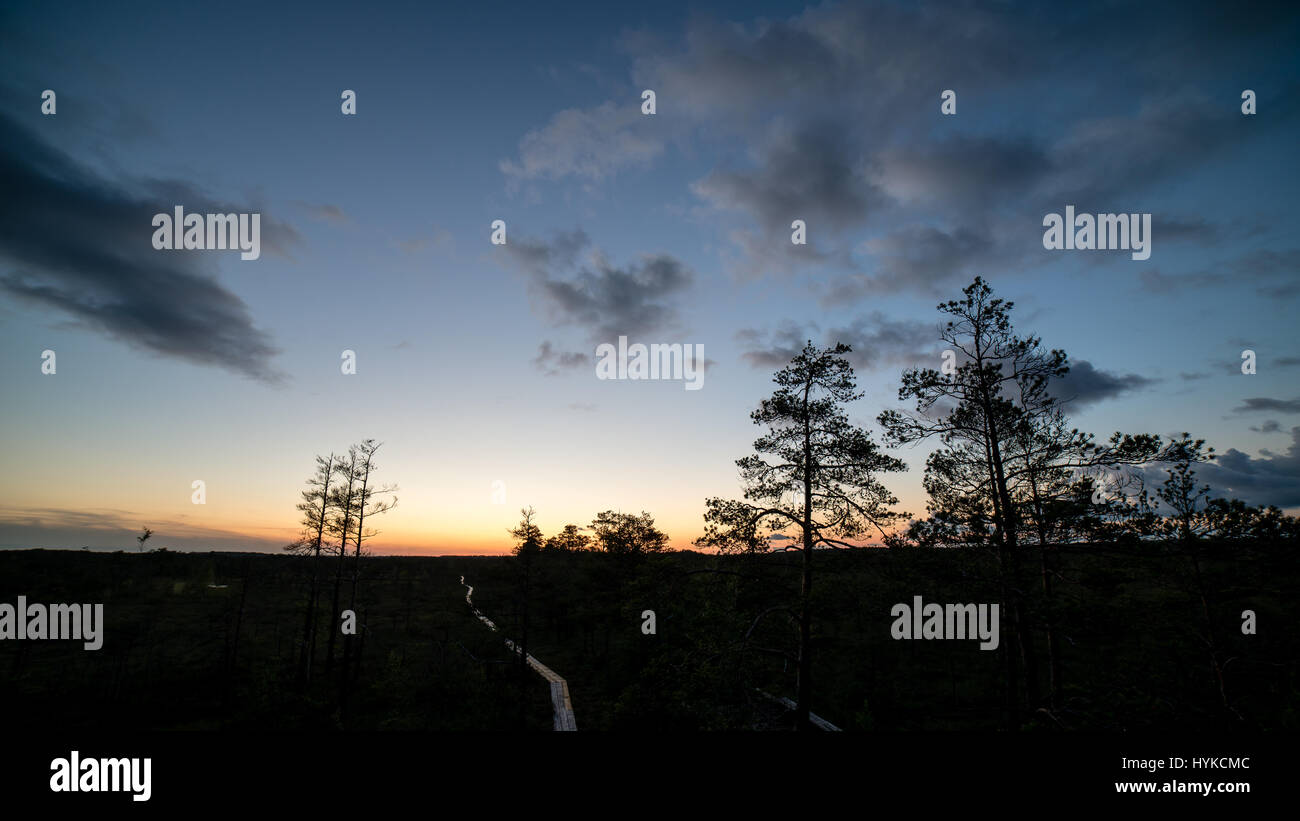 sunset over the forest in fog in summer Stock Photo - Alamy