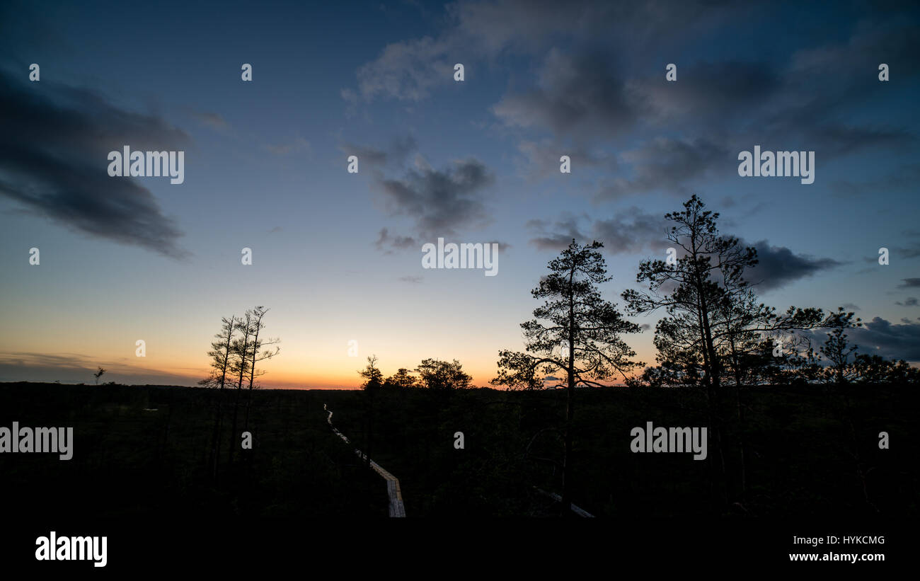 sunset over the forest in fog in summer Stock Photo - Alamy