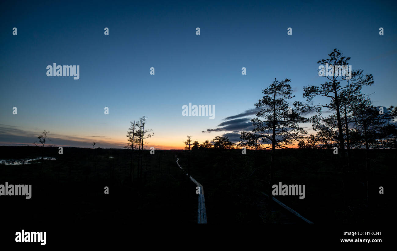 sunset over the forest in fog in summer Stock Photo - Alamy