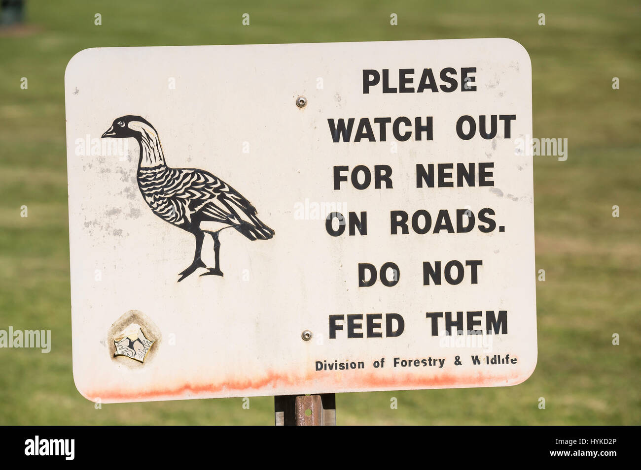 Sign warning of Nene, Hawaiian Goose, Branta sandvicensis, Kauai, Hawaii, USA Stock Photo