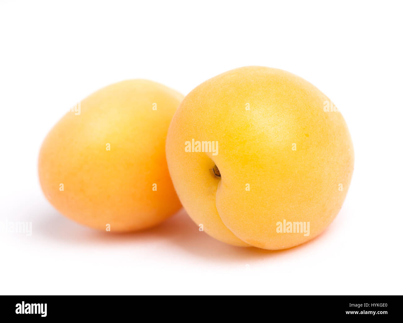 Apricots isolated on white background Stock Photo - Alamy