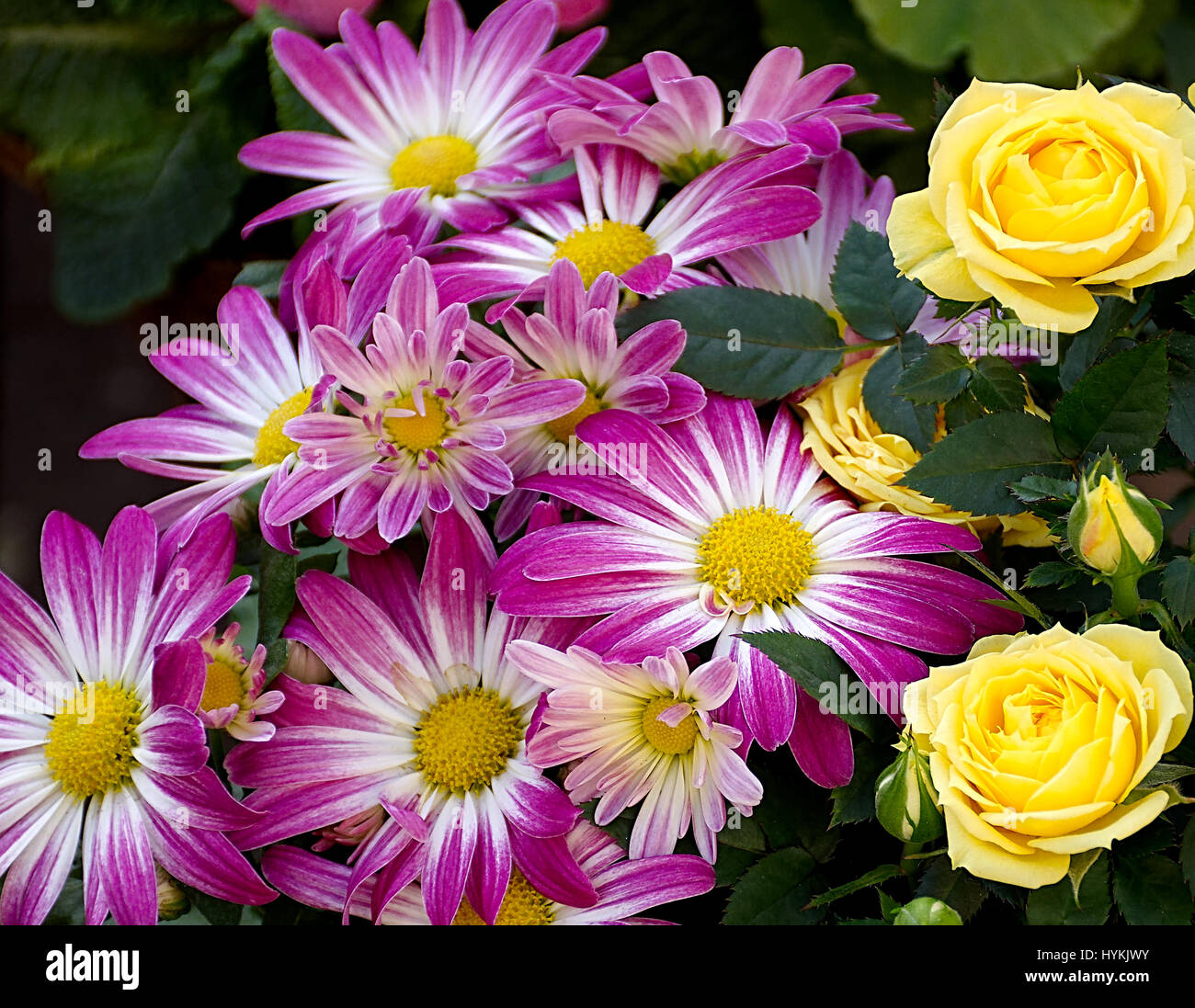 Margarets and yellow roses bouquet on street market stall in Stoke on Trent,Staffordshire,United Kingdom.Beautiful floral composition,bouqet. Stock Photo