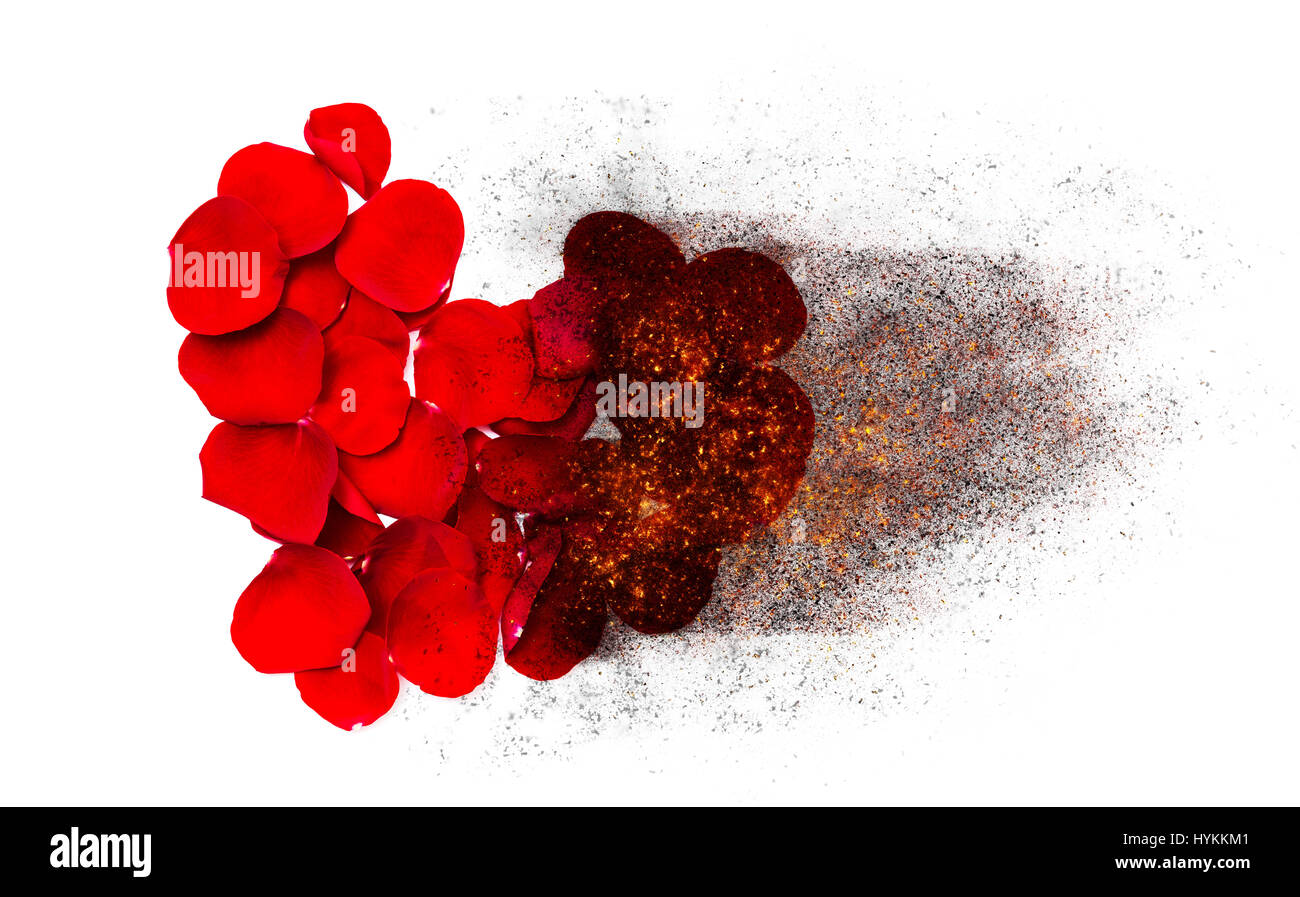 Heart of red rose petals burns to black ash Stock Photo Alamy