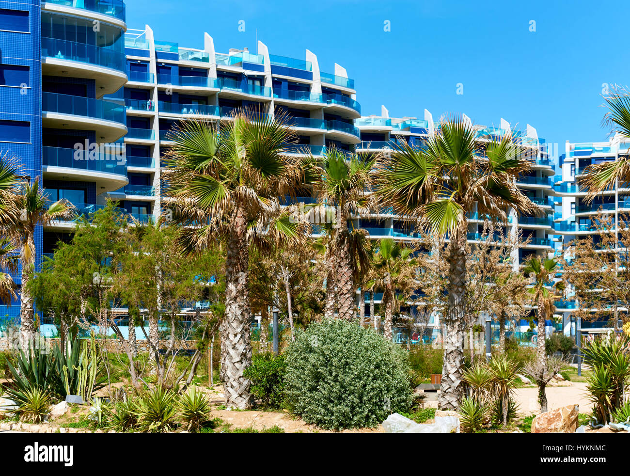 Palm trees high rise buildings hi-res stock photography and images - Alamy