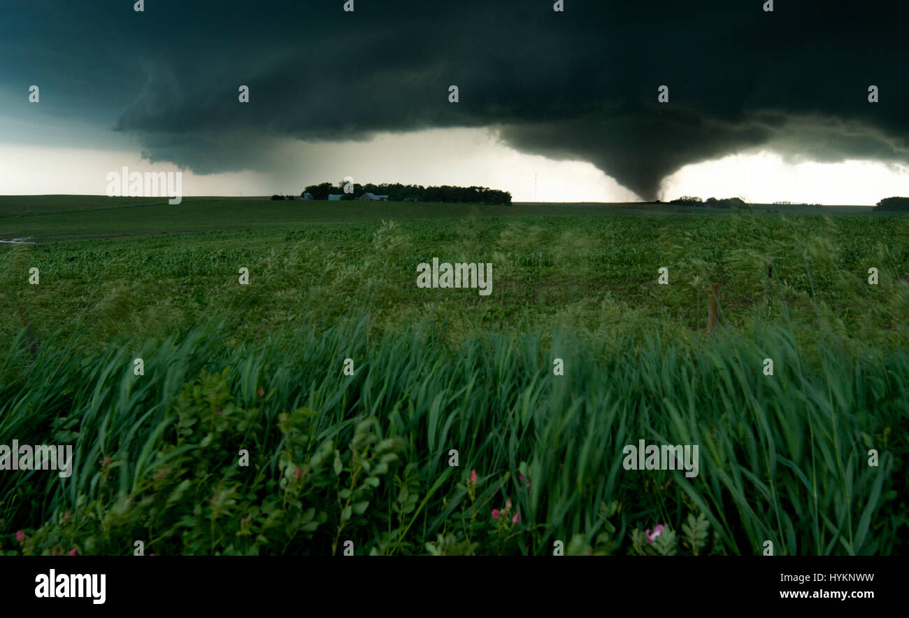 TORNADO ALLEY, USA: Coleridge, Nebraska. THE DEADLIEST weather events have been captured on camera by one lightning quick photographer. Incredible photographs show extreme weather from America’s Tornado Alley, renowned for the frequency of its storms. From terrifying lightning bolts to all-encompassing tornados, these pictures manage to capture to ferocity and atmosphere of these natural phenomena. Stock Photo
