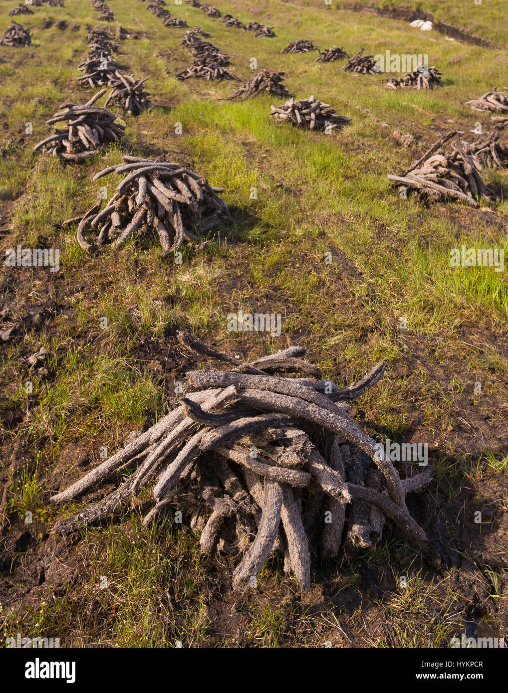 DONEGAL, IRELAND Peat harvest for fuel, in peatland bog Stock Photo