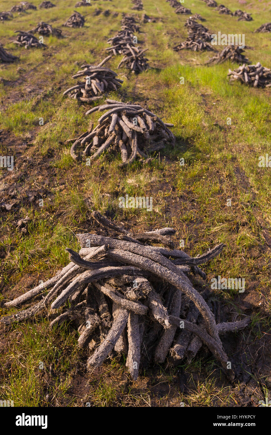 DONEGAL, IRELAND Peat harvest for fuel, in peatland bog Stock Photo