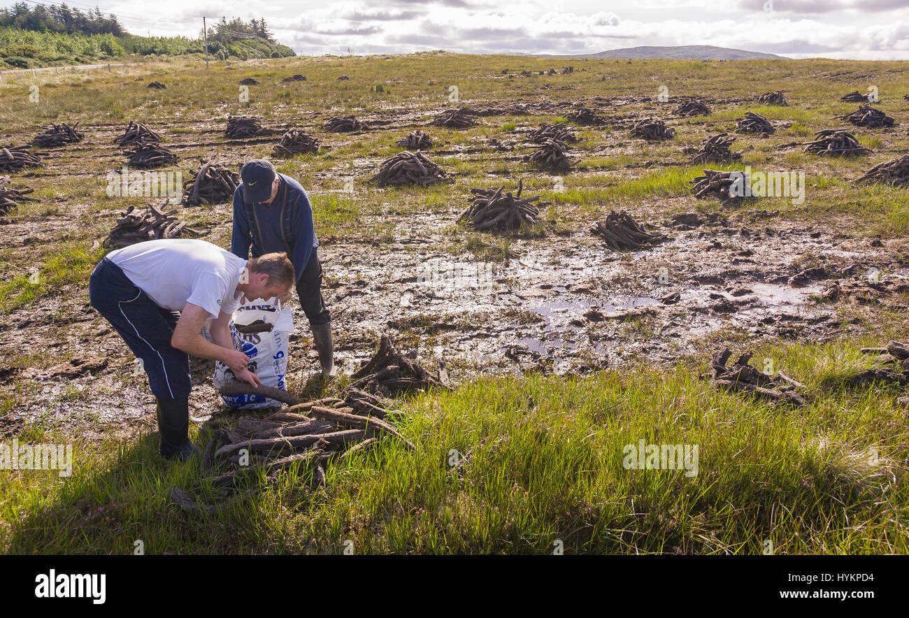 Peat Bog Harvest Stock Photos & Peat Bog Harvest Stock Images Alamy