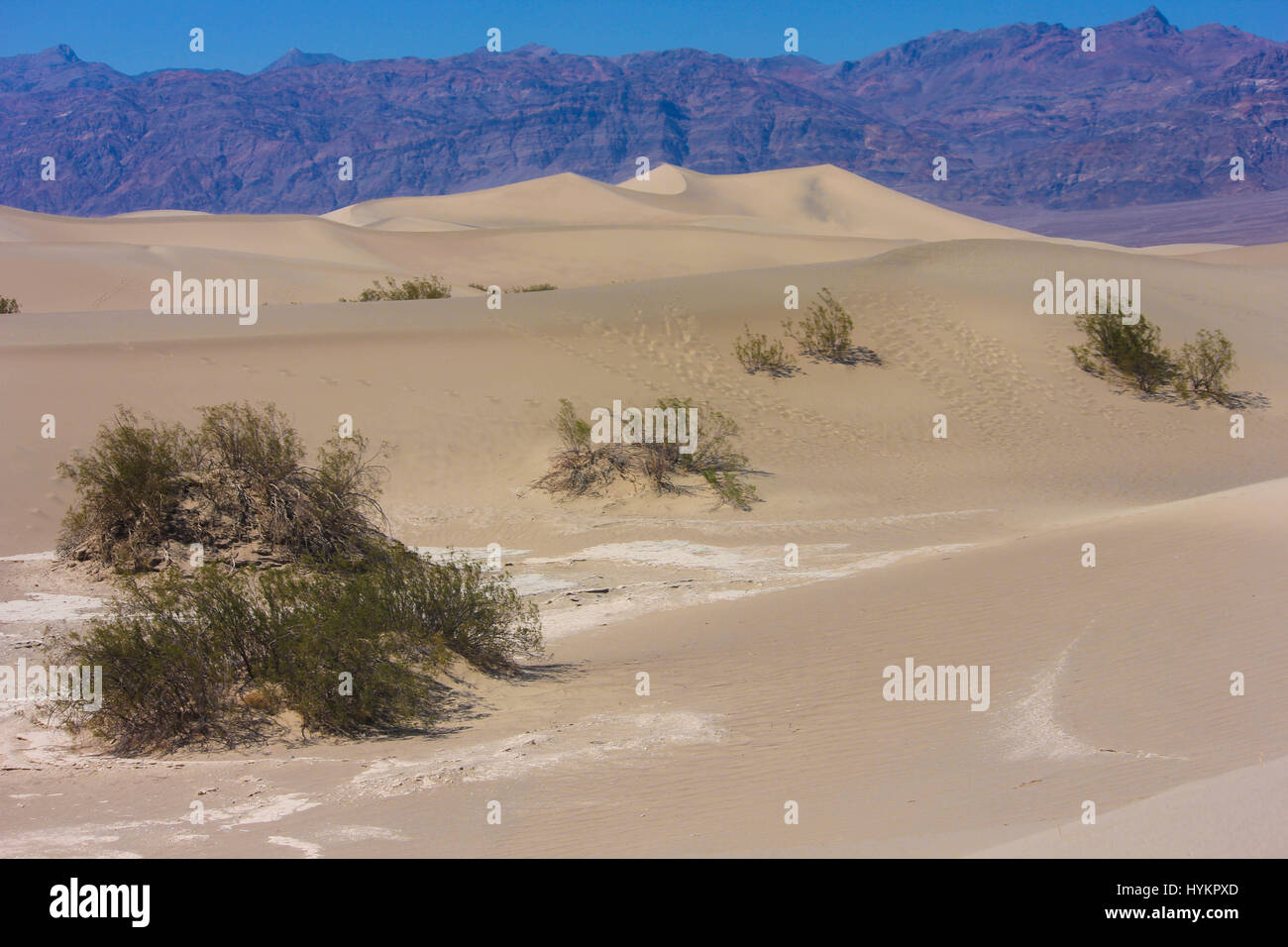 Death Valley in Eastern California. It is one of the hottest places on