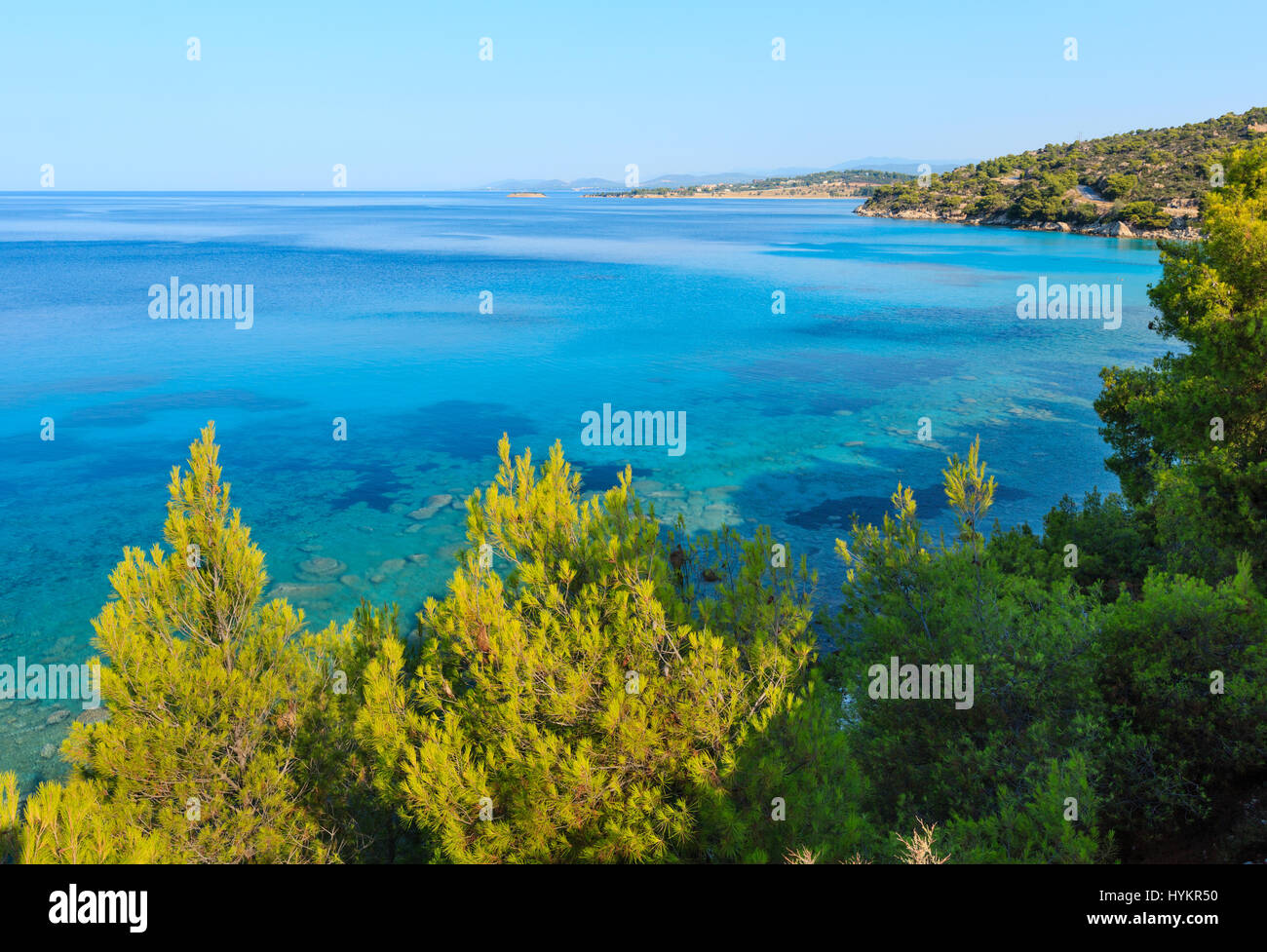 Morning summer Aegean Sea coast with pine tree on shore (Nikiti, Sithonia,  Halkidiki, Greece Stock Photo - Alamy