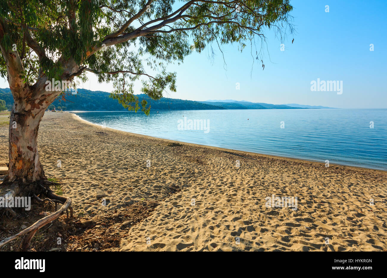 Morning sandy Kastri beach summer view (Nikiti, Sithonia, Halkidiki, Greece  Stock Photo - Alamy