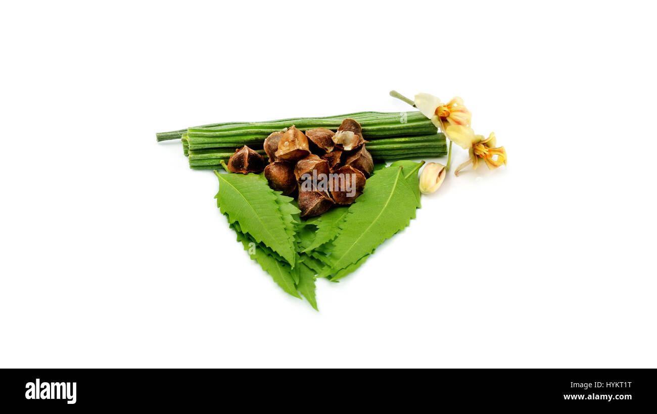 A selection of natural ingredients arranged in and around a neem leaves