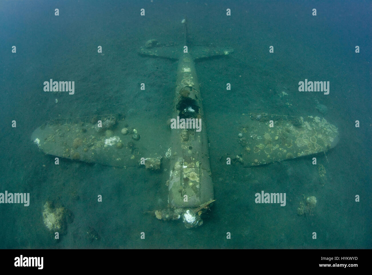 SOLOMON ISLANDS, PACIFIC OCEAN: A picture of a Mitsubishi A6M Zero long range fighter aircraft. THE REMNANTS of a fierce world war two battle have been captured at one hundred and eight five feet underwater. Pictures show these once powerful war machines, now lying dormant on the sea-bed.  A Japanese Mitsubishi A6M Zero long ranger fighter aircraft, an America Grumman F6F 3 Hellcat and a Boeing B-17 Flying Fortress are shown in various degrees of decay with colourful coral growing out from now their rusted shells, some of which included the human remains of the tragic crewmen (not pictured). C Stock Photo