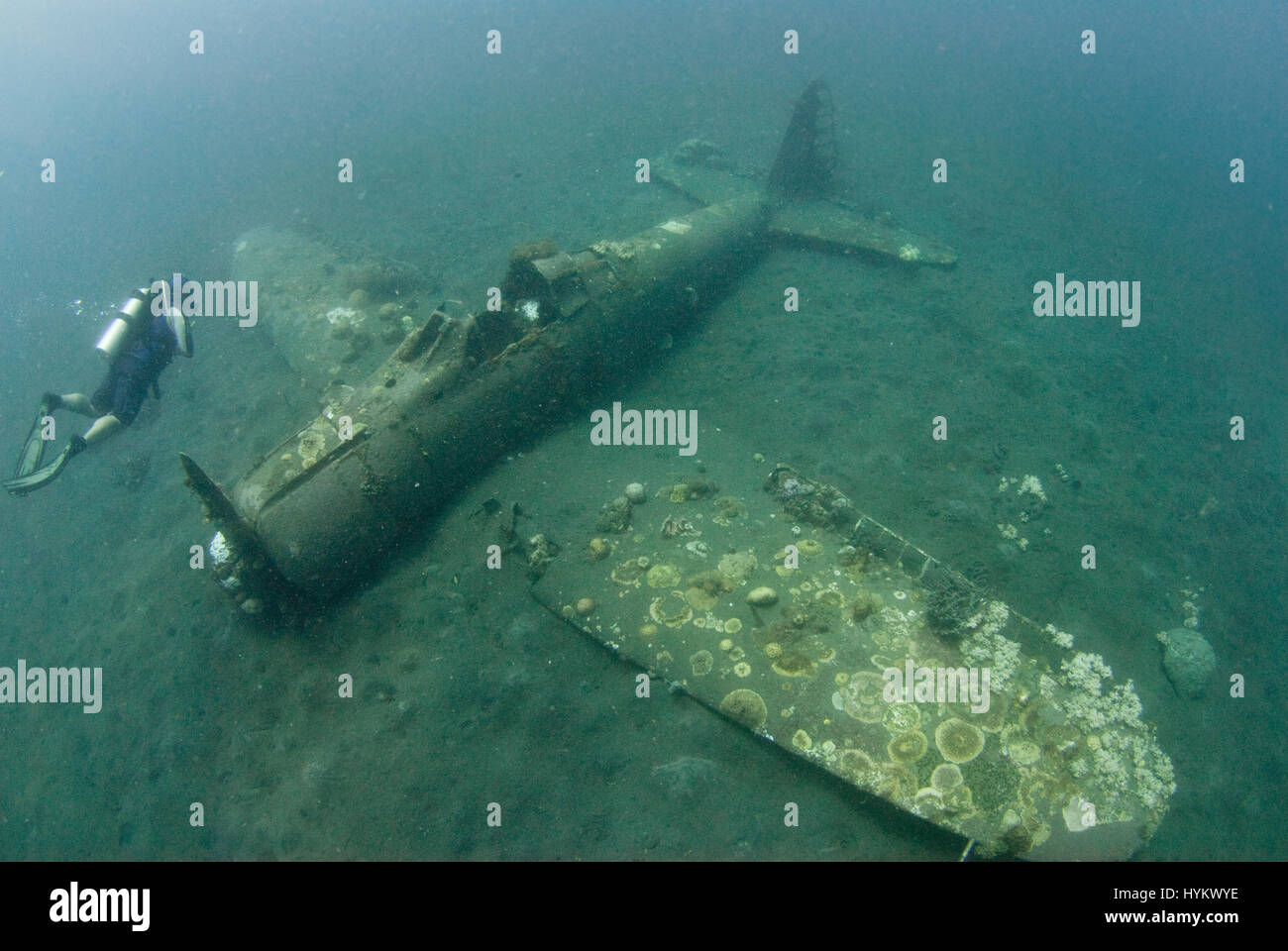 SOLOMON ISLANDS, PACIFIC OCEAN: A picture of a Mitsubishi A6M Zero long range fighter aircraft. THE REMNANTS of a fierce world war two battle have been captured at one hundred and eight five feet underwater. Pictures show these once powerful war machines, now lying dormant on the sea-bed.  A Japanese Mitsubishi A6M Zero long ranger fighter aircraft, an America Grumman F6F 3 Hellcat and a Boeing B-17 Flying Fortress are shown in various degrees of decay with colourful coral growing out from now their rusted shells, some of which included the human remains of the tragic crewmen (not pictured). C Stock Photo
