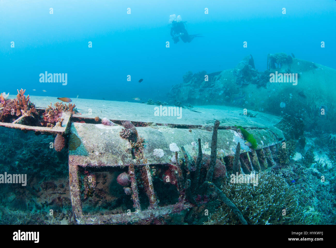SOLOMON ISLANDS, PACIFIC OCEAN: A picture of a Grumman F6F 3 Hellcat carrier based fighter aircraft. THE REMNANTS of a fierce world war two battle have been captured at one hundred and eight five feet underwater. Pictures show these once powerful war machines, now lying dormant on the sea-bed.  A Japanese Mitsubishi A6M Zero long ranger fighter aircraft, an America Grumman F6F 3 Hellcat and a Boeing B-17 Flying Fortress are shown in various degrees of decay with colourful coral growing out from now their rusted shells, some of which included the human remains of the tragic crewmen (not picture Stock Photo