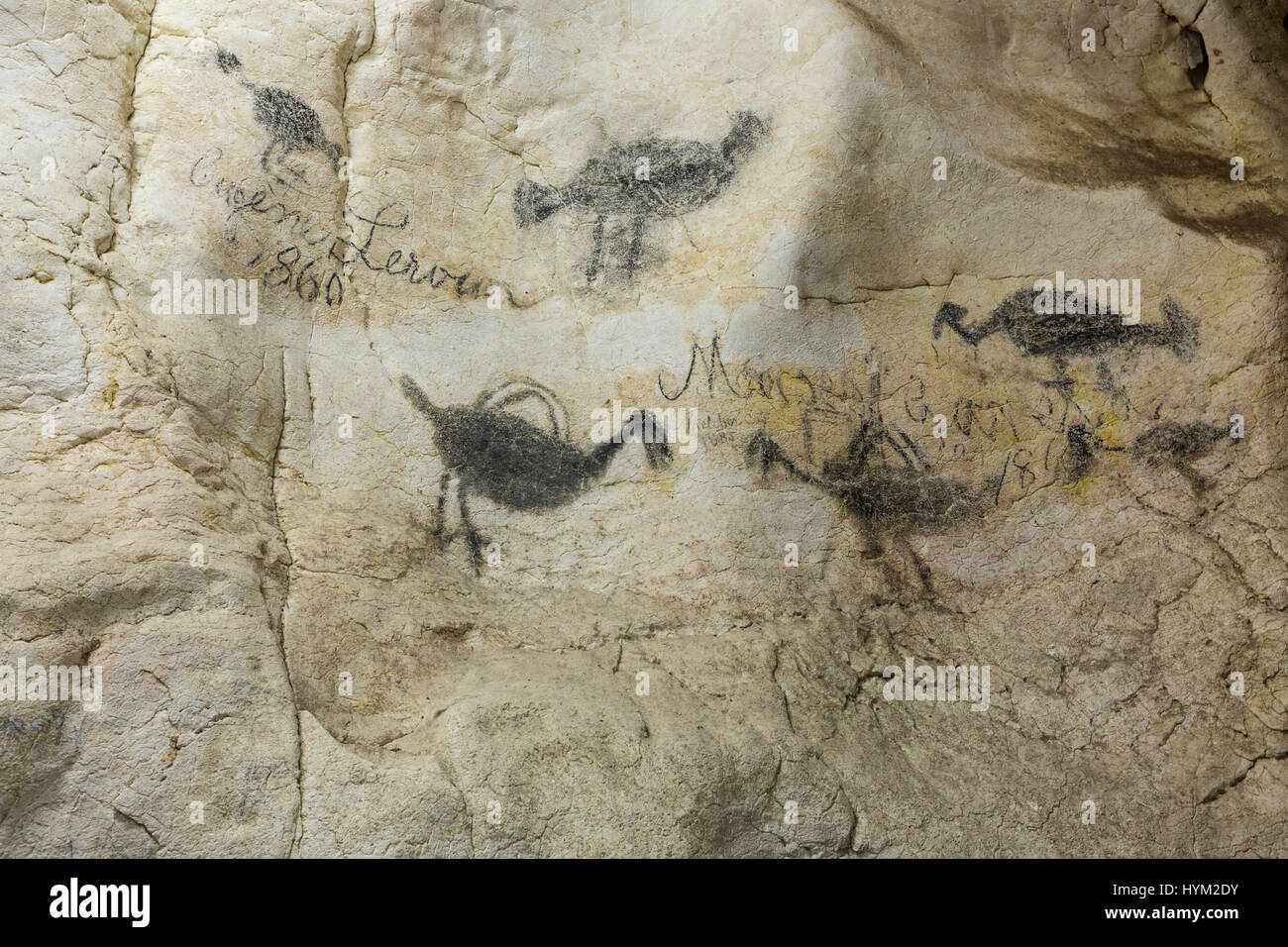 Historic graffiti from the 1800's in the Pomier Caves alongside ancient indigenous pictographs.  The Pomier Caves are a series of 55 caves north of Sa Stock Photo