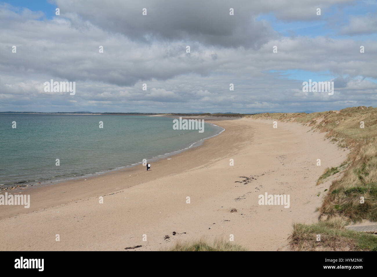 A view along the Burrow shore around Ballyteige Bay in Kilmore Quay, County Wexford, Ireland