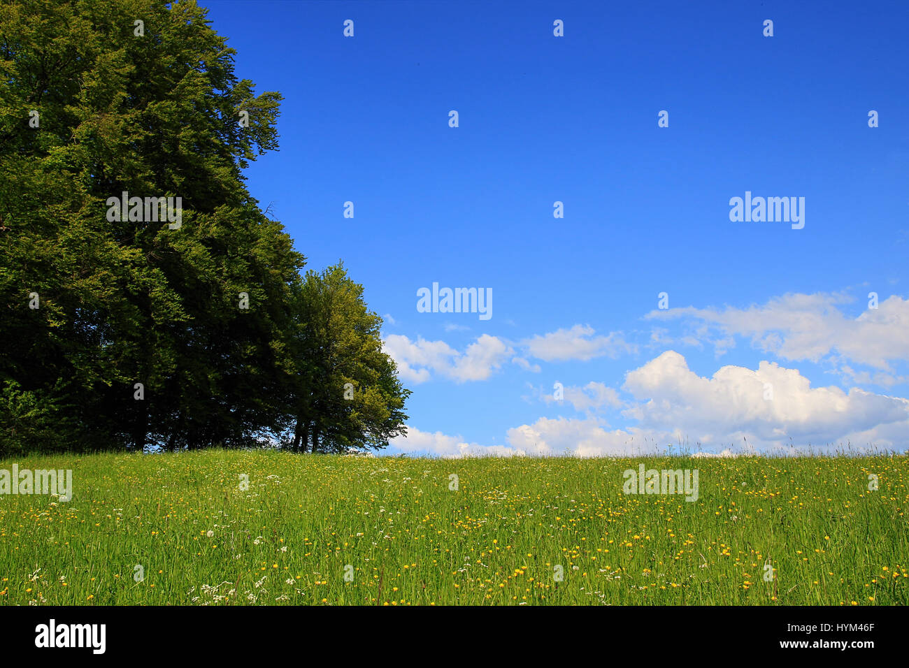 Lea Village Green Hi res Stock Photography And Images Alamy lea-village-green-hi-res-stock-photography-and-images-alamy