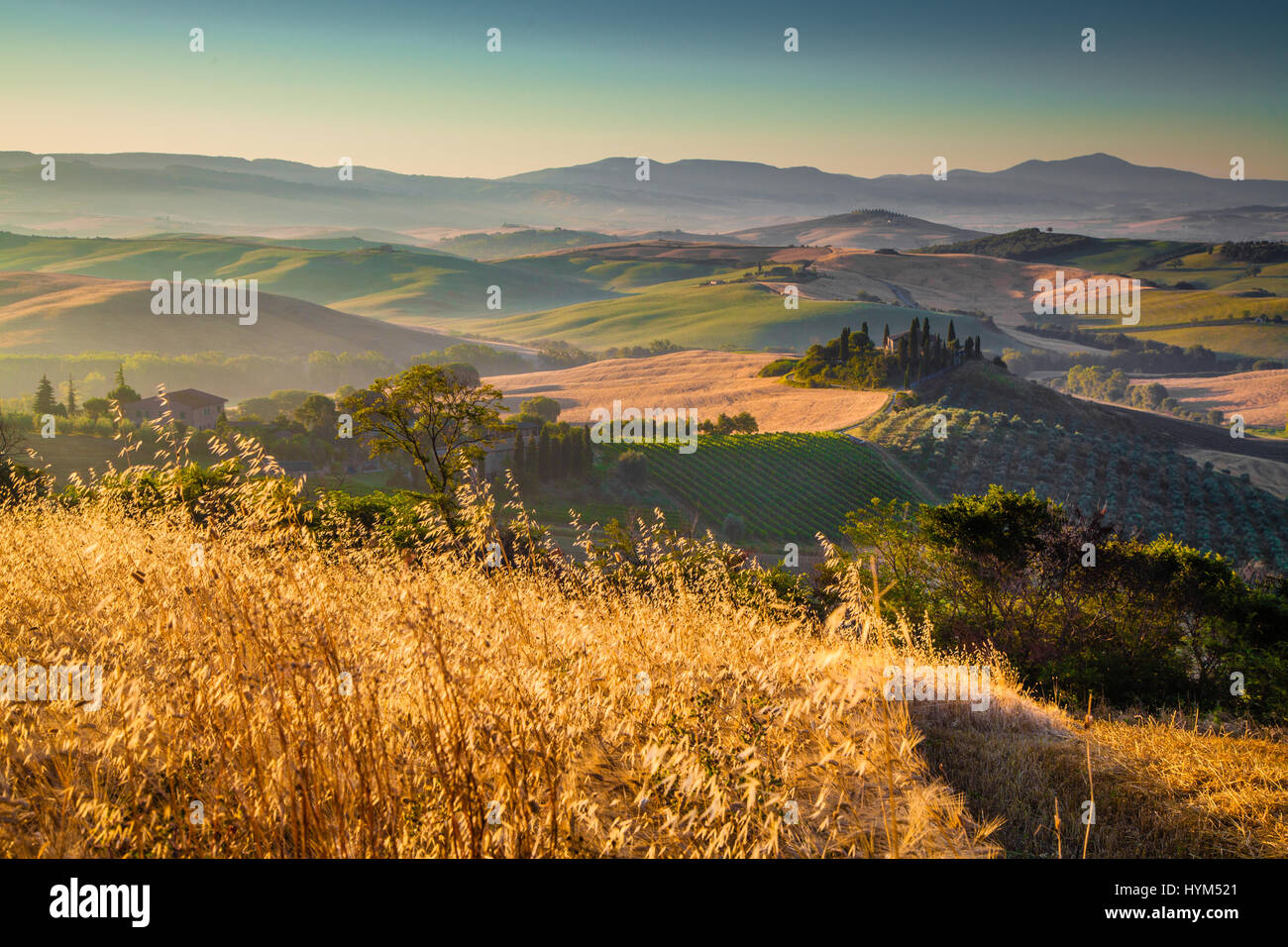 Scenic Tuscany landscape with rolling hills and harvest fields in golden morning light, Val d'Orcia, Italy Stock Photo