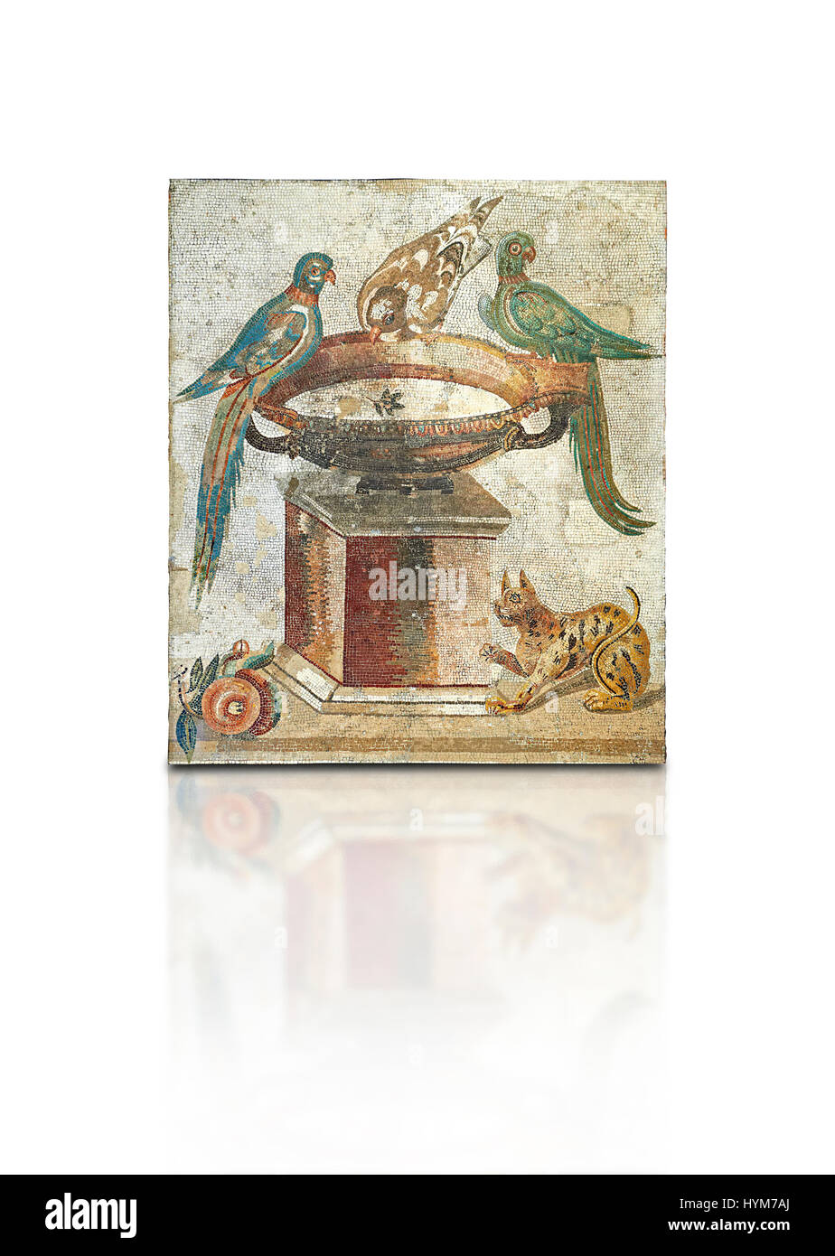 Roman mosaic of drinking birds from Santa Maria Capua Vetere, ancient Capua, inv no 9992, Naples Archaeological Musum, Italy Stock Photo