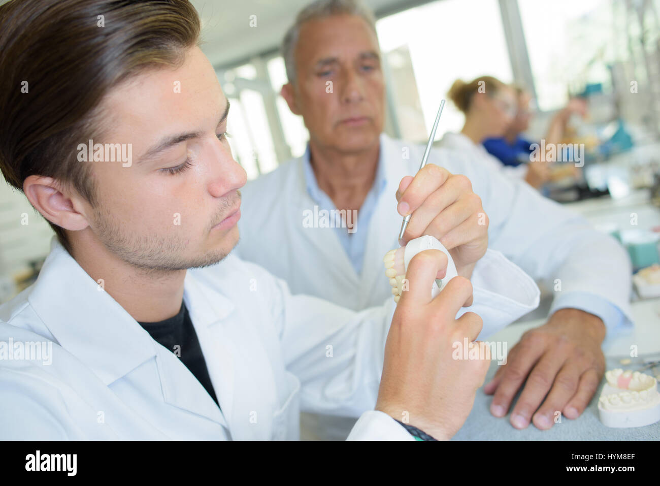 Certified dental technician stock photo alamy