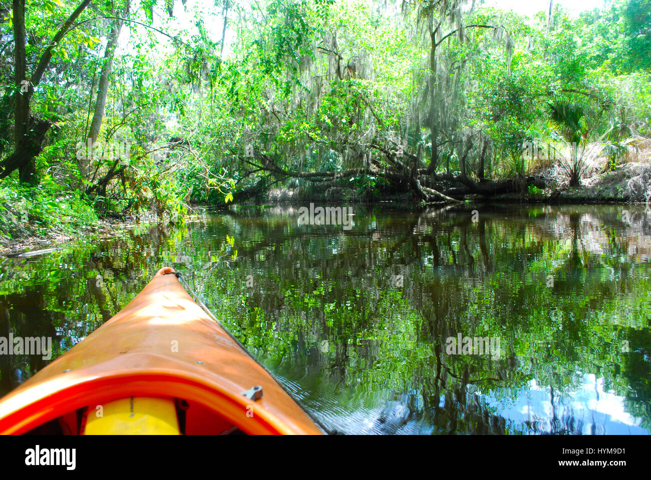 Kayaking Down Frog Creek in Florida Stock Photo