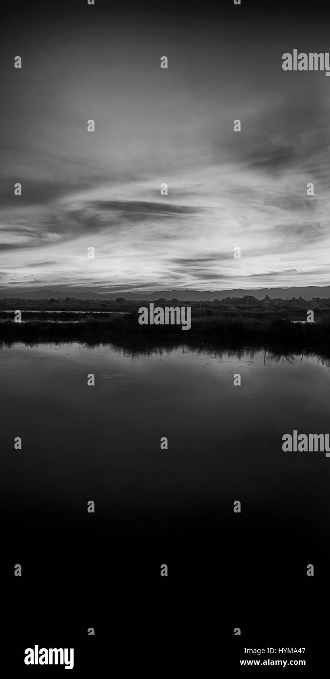 Bush sunrise with silhouette Black and White Stock Photos & Images - Alamy