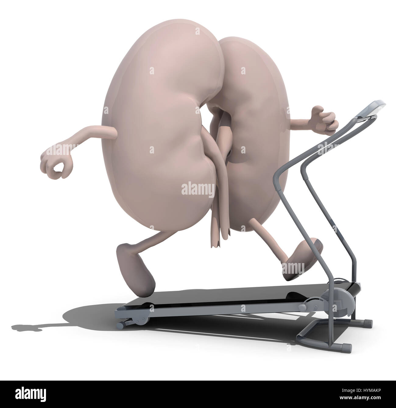 kidneys with arms and legs that are doing jogging, 3d illustration Stock Photo