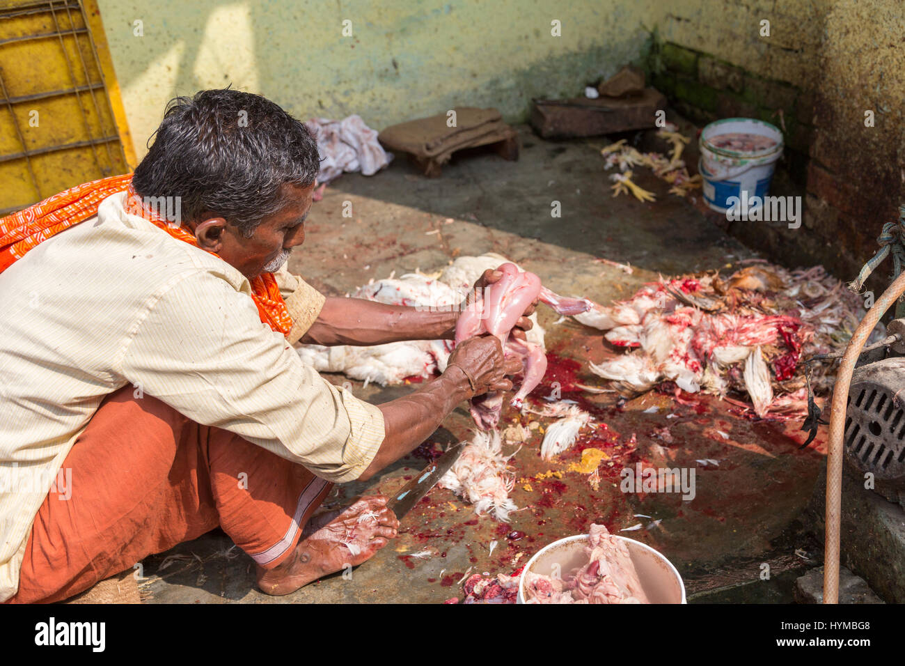 Geflügelmarkt, Altstadt, Varanasi, Uttar Pradesh, Indien Stock Photo