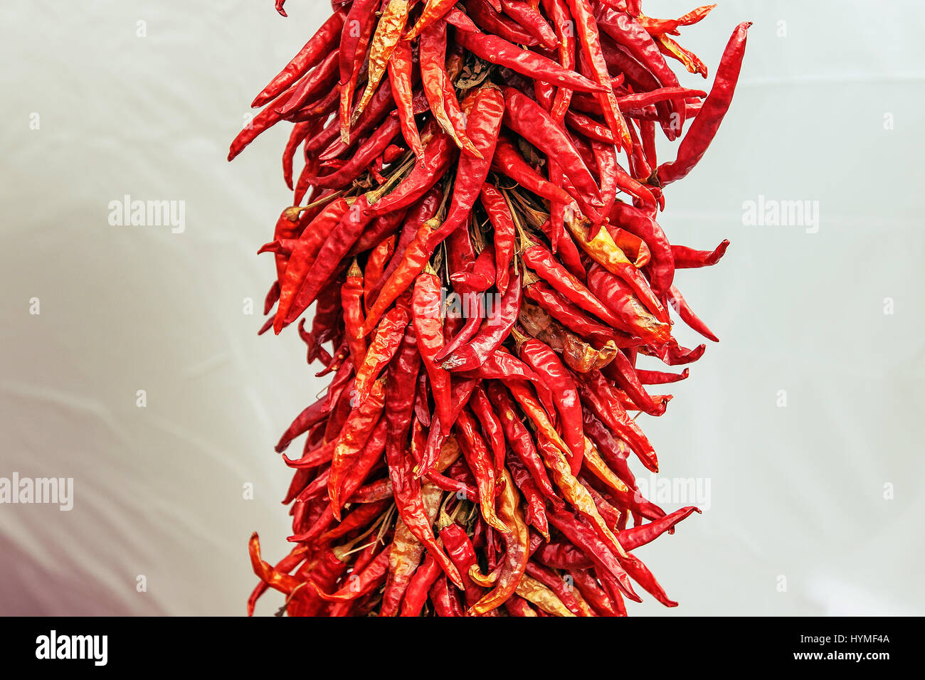 Hanging bunch of cayenne pepper. Stock Photo