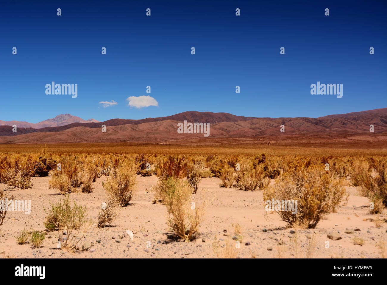 Desert of puna in Argentina Stock Photo