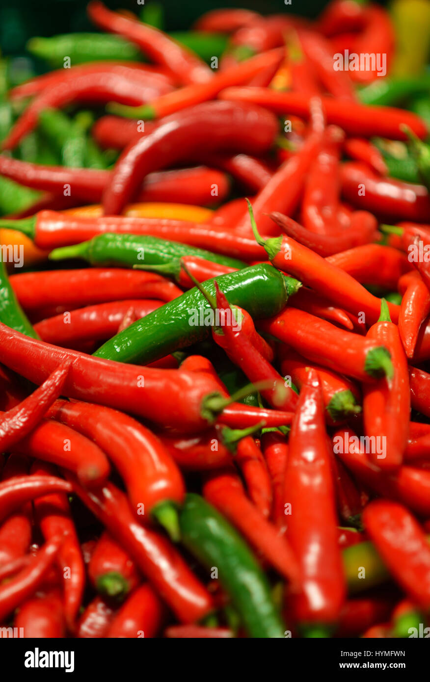 Red and green chili peppers at the background Stock Photo