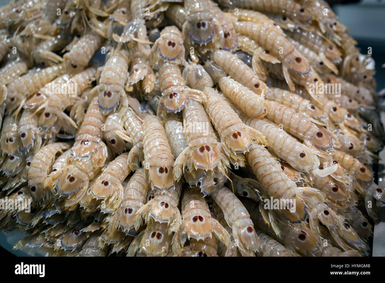 mantis shrimp for sale at the local market in Cadiz, Spain Stock Photo
