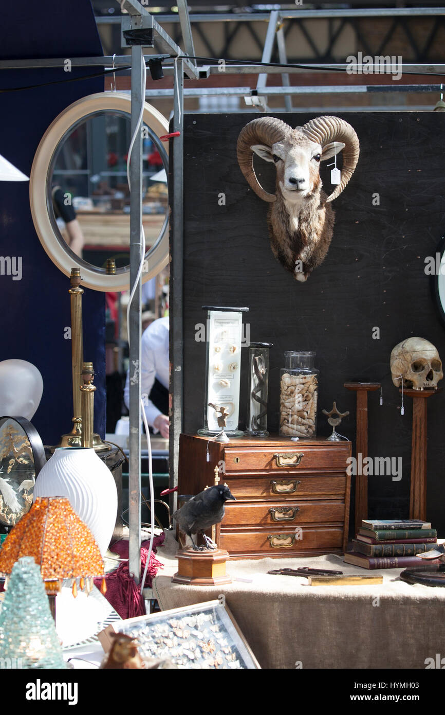 LONDON, ENGLAND - March 30, 2017 Skulls of artiodactyls with horns and other things on the Spitalfields market near Liverpool Street subway. Stock Photo