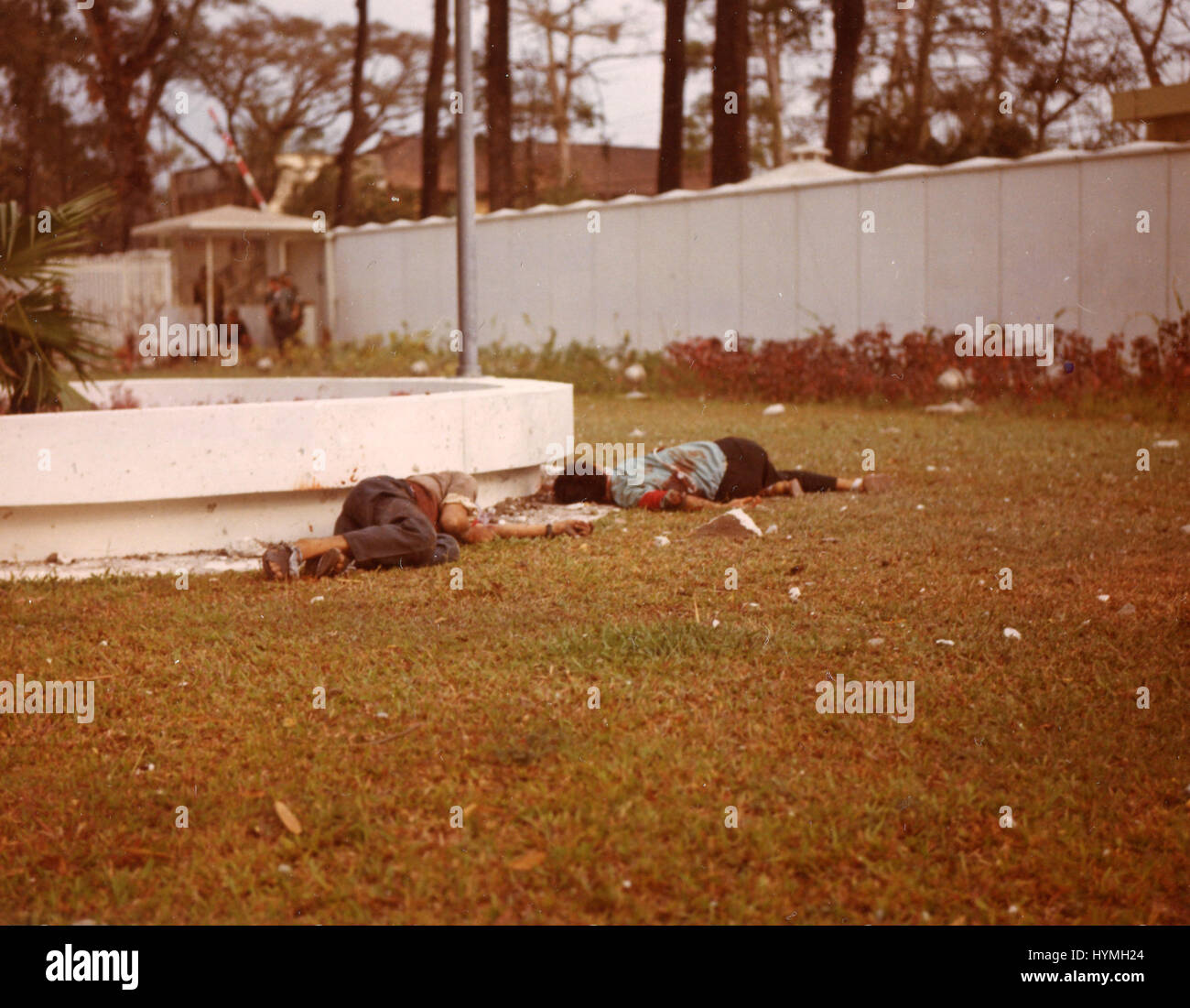 Viet Cong bodies lying on the grounds of the American embassy after VC attack during Tet. Saigon, Republic of Vietnam. 31 January 1968. Stock Photo