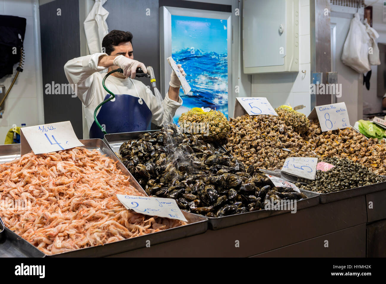 Freshly caught fish at the fish market in Cadiz, Andalucia, Spain Stock Photo