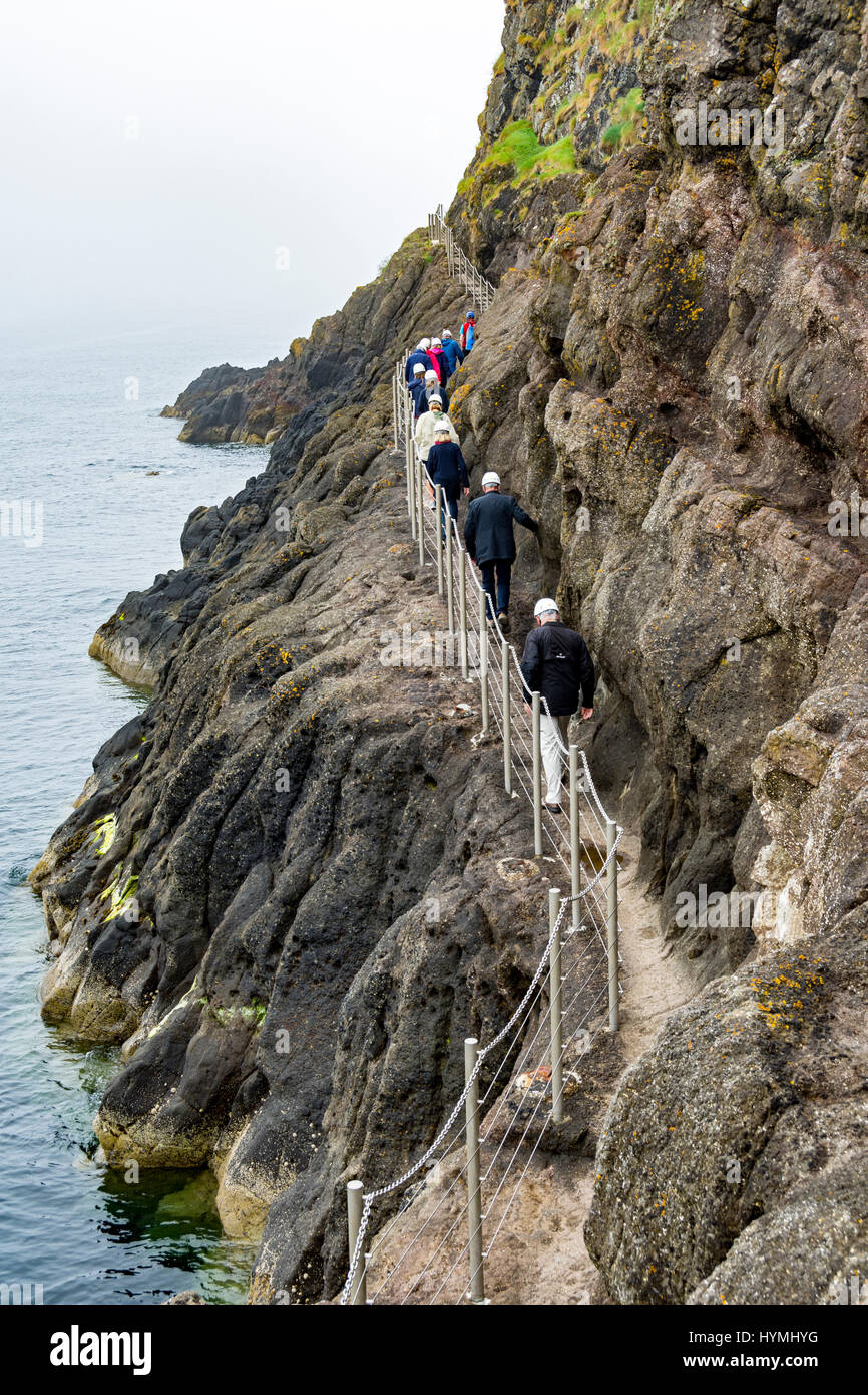 The Gobbins Cliff Path, near Islandmagee, County Antrim, Northern Ireland, UK Stock Photo Alamy