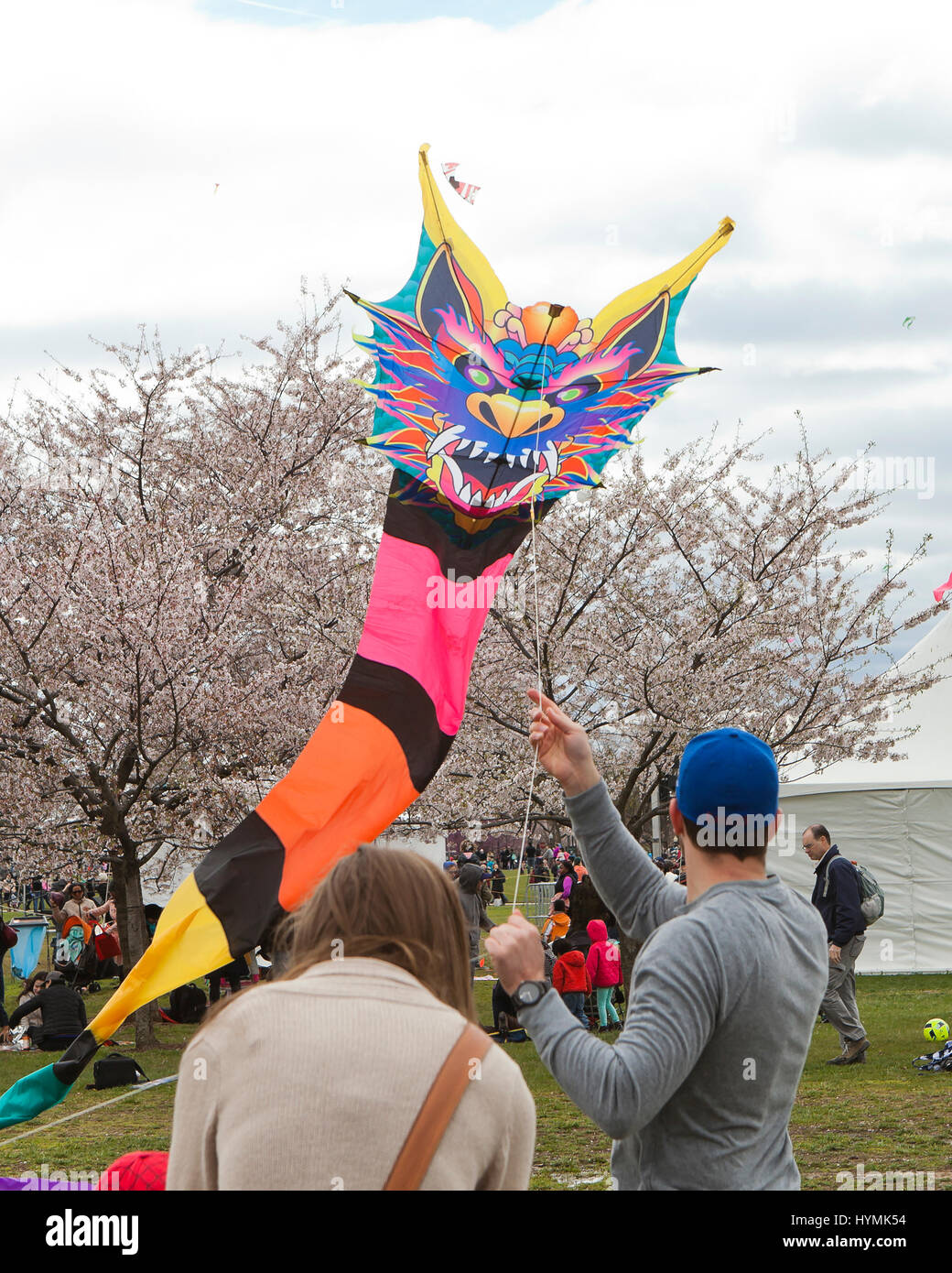 States flying kites hires stock photography and images Alamy