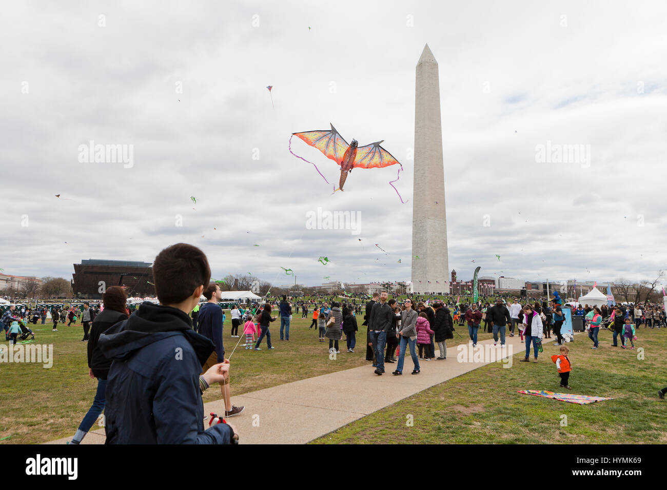 People flying kites on the National Mall during 2017 National Kite