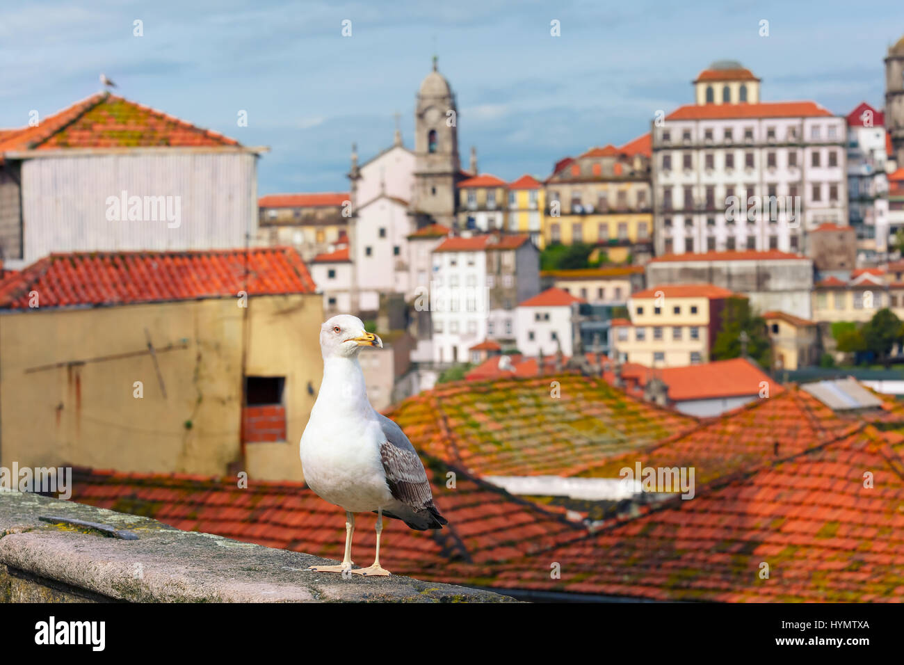 Seagull and rooftops of Old Town, Lisbon, Portugal Stock Photo