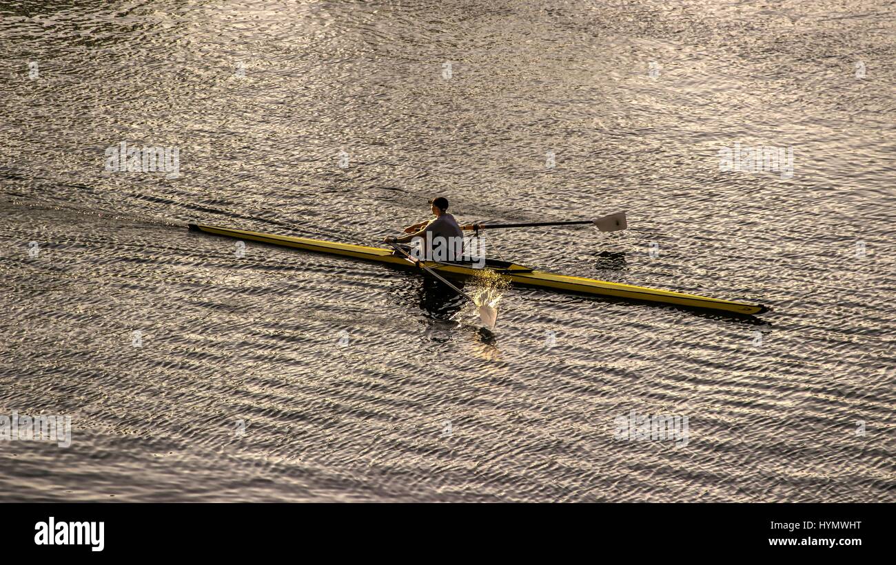 Belgrade, Serbia - Young rower training on the Sava River Stock Photo ...