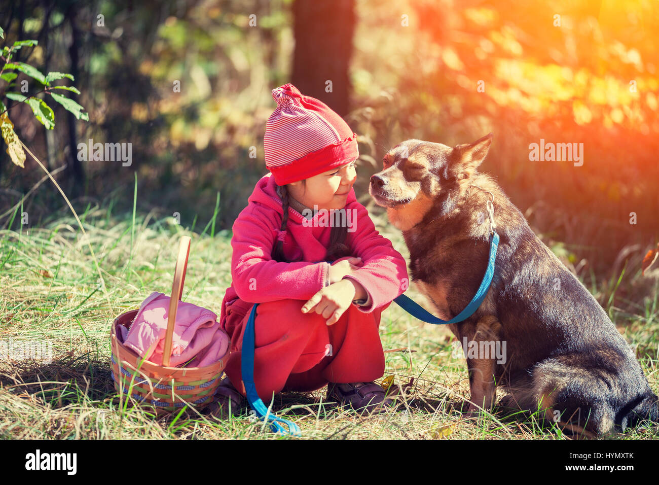 Happy little girl sitting with dog in the forest on picnic in sunny day ...