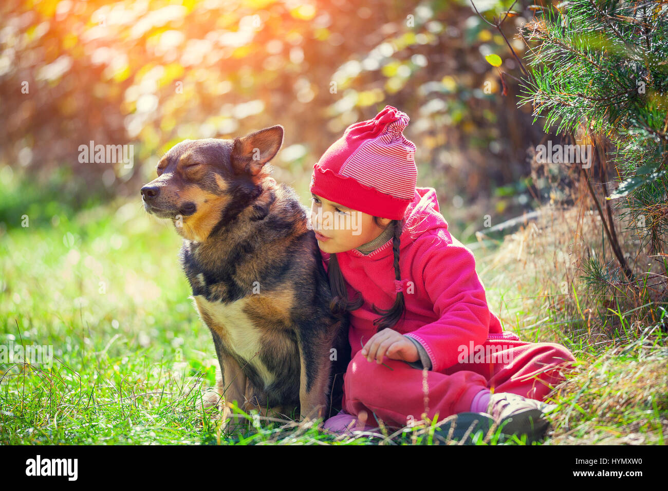 Happy little girl playing with dog in the forest Stock Photo - Alamy